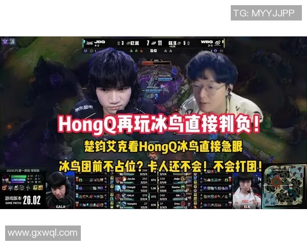冰鸟HongQ被击杀事件引发热议玩家对游戏平衡性提出质疑与反思