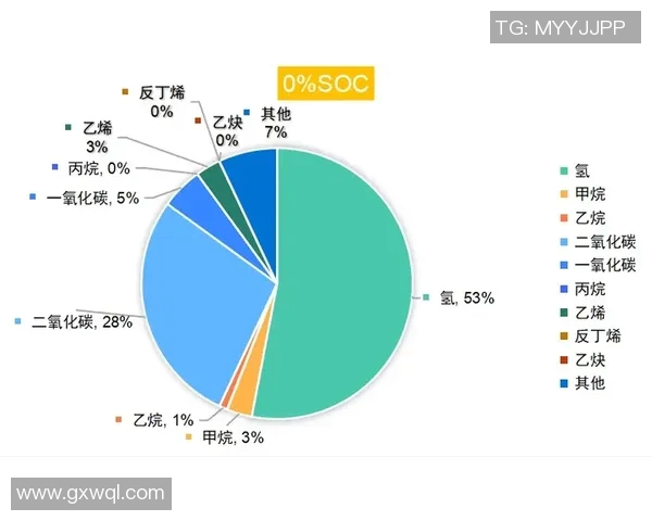 探索领域腰射的科学原理与应用前景解析